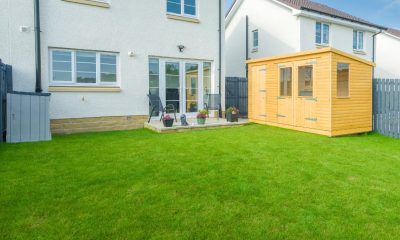 el-limpiador-de-cesped-artificial-mas-vendido-en-amazon:-elimina-manchas,-residuos-y-malos-olores