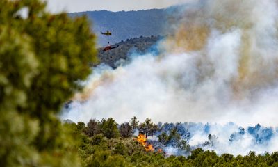 un-incendio-quema-400-hectareas-en-murcia-y-obliga-a-evacuar-a-80-‘scouts’