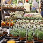 plant-heaven-in-benalmadena-for-the-19th-collectors’-plant-fair
