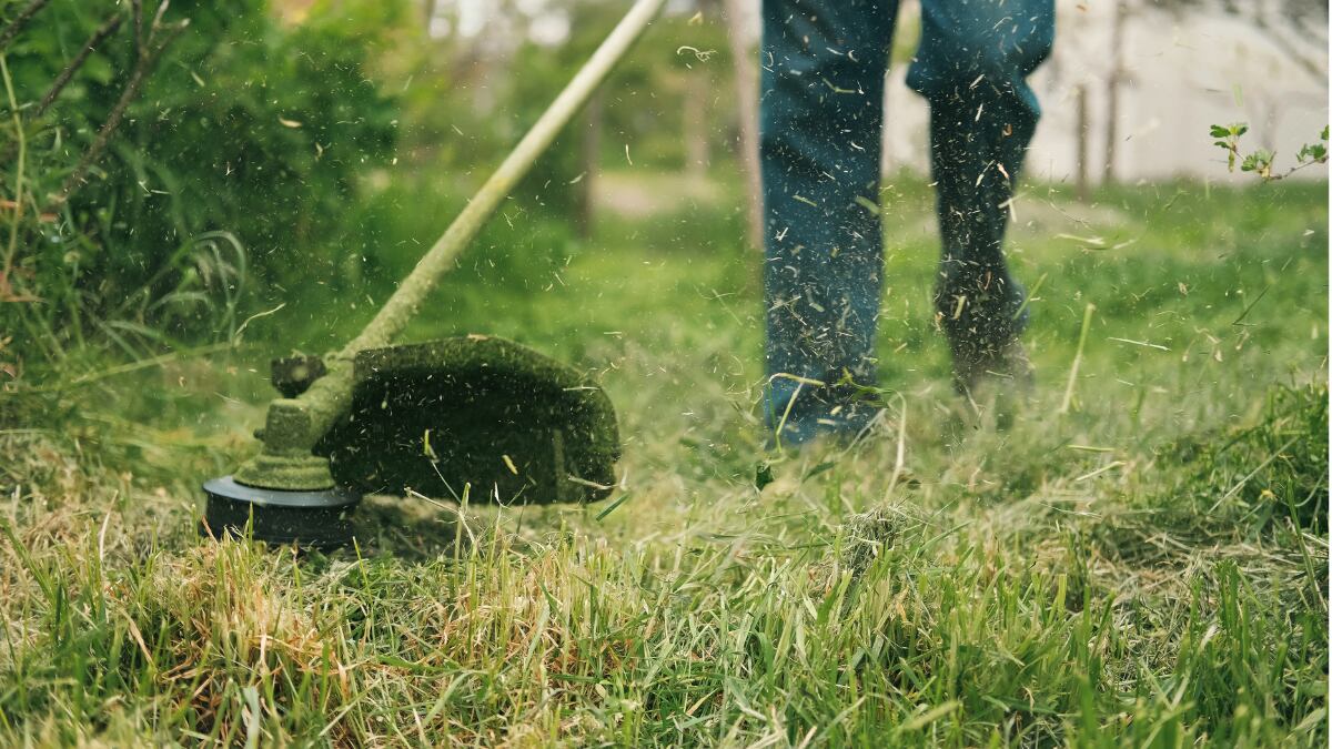 estas-son-las-mejores-desbrozadoras-electricas-de-amazon-del-2026-(y-al-mejor-precio)