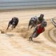 greyhound-racing-set-to-become-illegal-in-wales-under-new-law