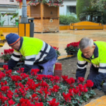 torrevieja-bursts-into-colour-as-citywide-planting-takes-full-bloom