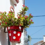 estepona’s-foreign-residents-day-returns