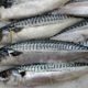 new-anisakis-alert-in-spain-linked-to-fresh-fish-like-mackerel:-what-you-should-check-now