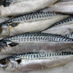 new-anisakis-alert-in-spain-linked-to-fresh-fish-like-mackerel:-what-you-should-check-now