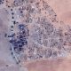 scorched-earth-policy-of-paramilitary-groups-burns-and-reshapes-darfur,-resulting-in-famine,-ethnic-cleansing-and-demographic-change