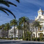 red-palm-weevil-plague-devastates-malaga’s-historic-palms