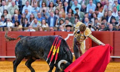¡albricias!-protestas-en-la-maestranza