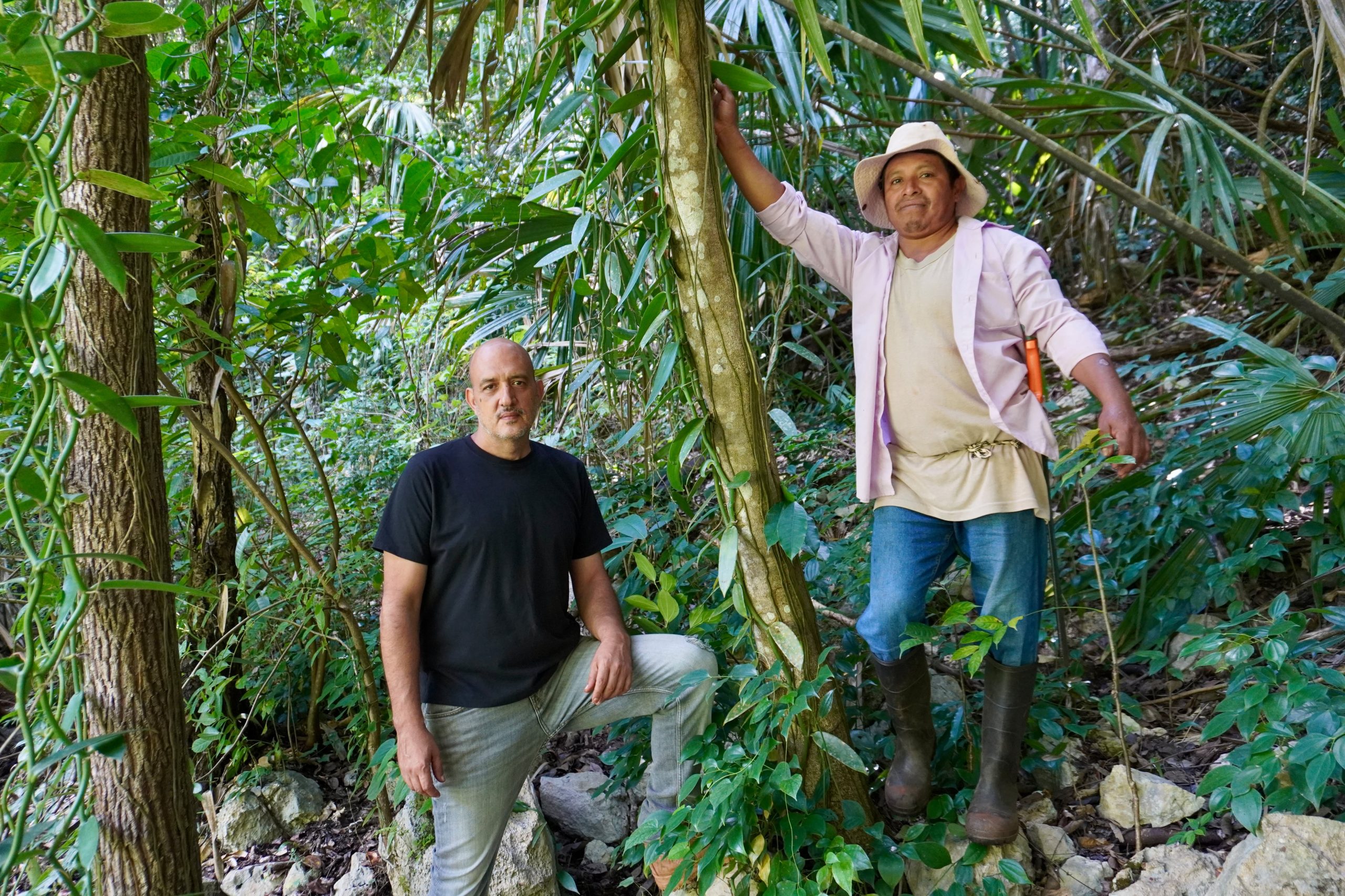 on-the-trail-of-maya-vanilla:-the-regenerative-project-reviving-a-fragile-species-in-the-mexican-jungle