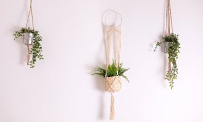 convierte-cualquier-pared-de-tu-casa-en-un-rincon-especial-con-estas-macetas-colgantes