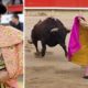 bull-gores-famous-bullfighter-in-prestigious-sevilla-event