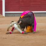 second-serious-injury-in-spain’s-la-maestranza-bullring-reignites-controversy