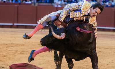 roca-rey-ha-pasado-la-noche-en-la-uci-sin-fiebre-y-morante-continuara-su-recuperacion-en-casa