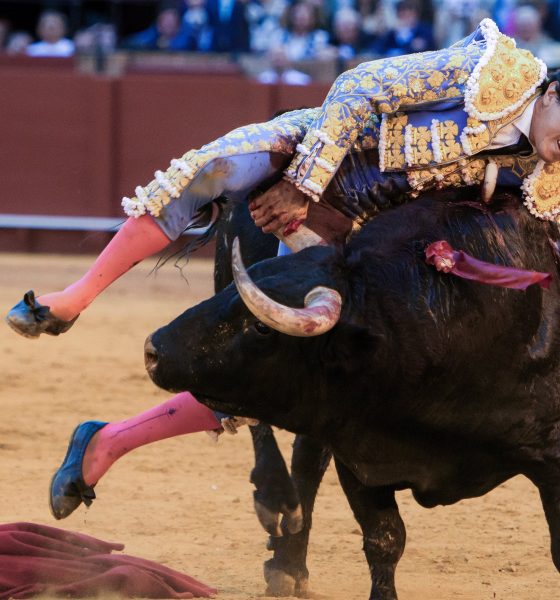 roca-rey-ha-pasado-la-noche-en-la-uci-sin-fiebre-y-morante-continuara-su-recuperacion-en-casa