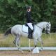 classical-dressage-returns-to-murcia-with-mazarron-competition-success