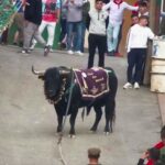 bull-breeder-dies-after-savage-goring-in-spanish-festival