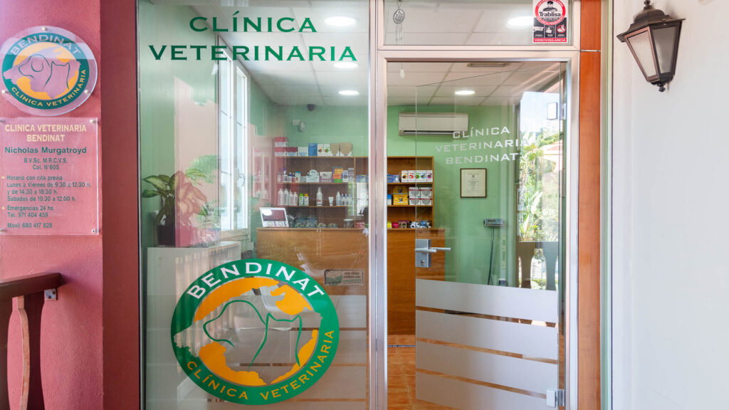 The clinic is designed with the animal's comfort in mind. 