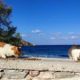 live-for-free-on-a-greek-island-paradise-by-cuddling-cats