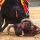 las-ventas-goring:-banderrillero-raul-ruiz-seriously-injured-in-madrid-bullfight