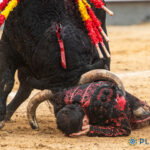las-ventas-goring:-banderrillero-raul-ruiz-seriously-injured-in-madrid-bullfight