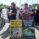 over-1,000-beagles-rescued-from-us-research-facility