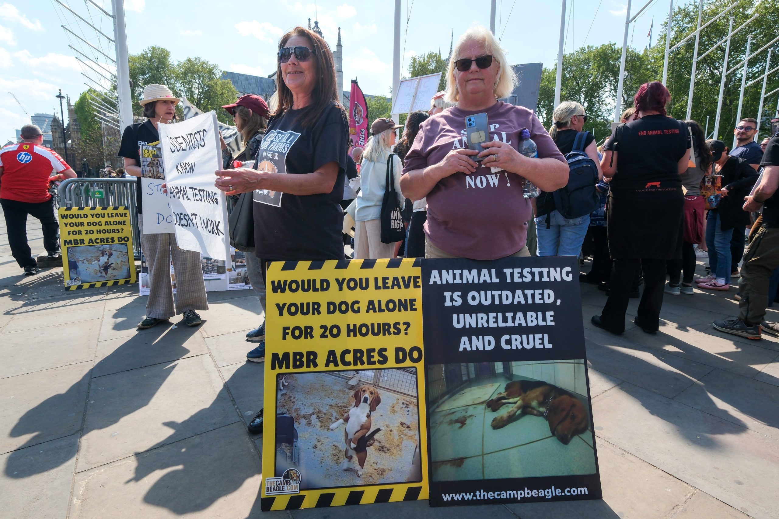 over-1,000-beagles-rescued-from-us-research-facility