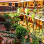 why-malaga’s-old-courtyards-reveal-a-new-vision-for-modern-urban-living