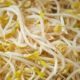 salmonella-product-recall-in-spain