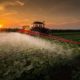 eu-report-finds-pesticide-residues-in-over-half-of-food-tested