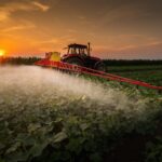 eu-report-finds-pesticide-residues-in-over-half-of-food-tested