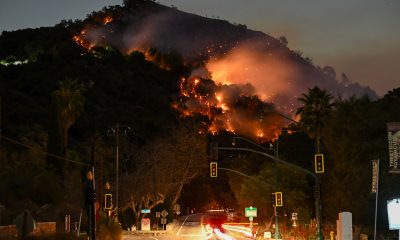 fuego-para-prevenir-los-incendios:-funciona-y-es-rentable