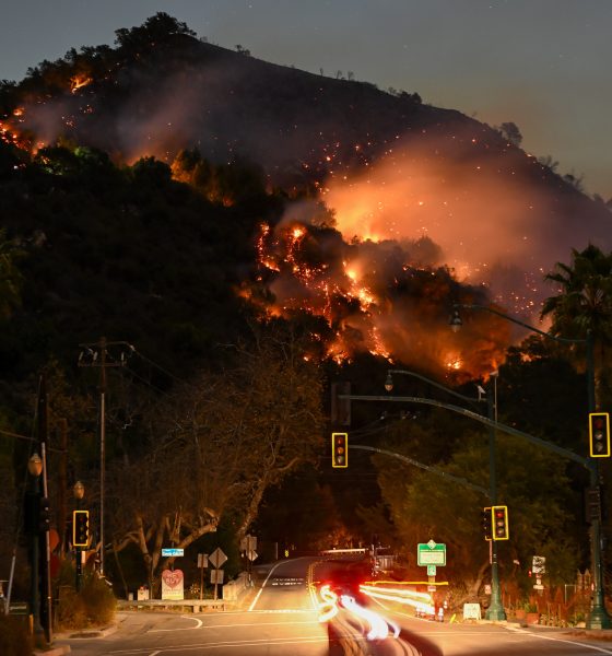 fuego-para-prevenir-los-incendios:-funciona-y-es-rentable