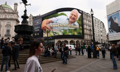 reino-unido-se-vuelca-en-el-centenario-de-david-attenborough,-el-naturalista-mas-querido