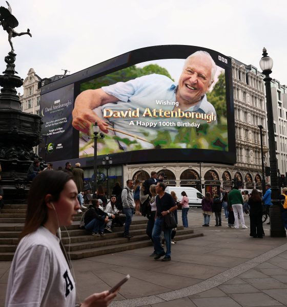reino-unido-se-vuelca-en-el-centenario-de-david-attenborough,-el-naturalista-mas-querido