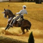 fuengirola’s-magnificent-horse-show