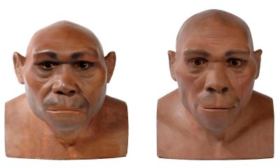 protein-reveals-the-oldest-episode-of-sex-and-procreation-among-human-species