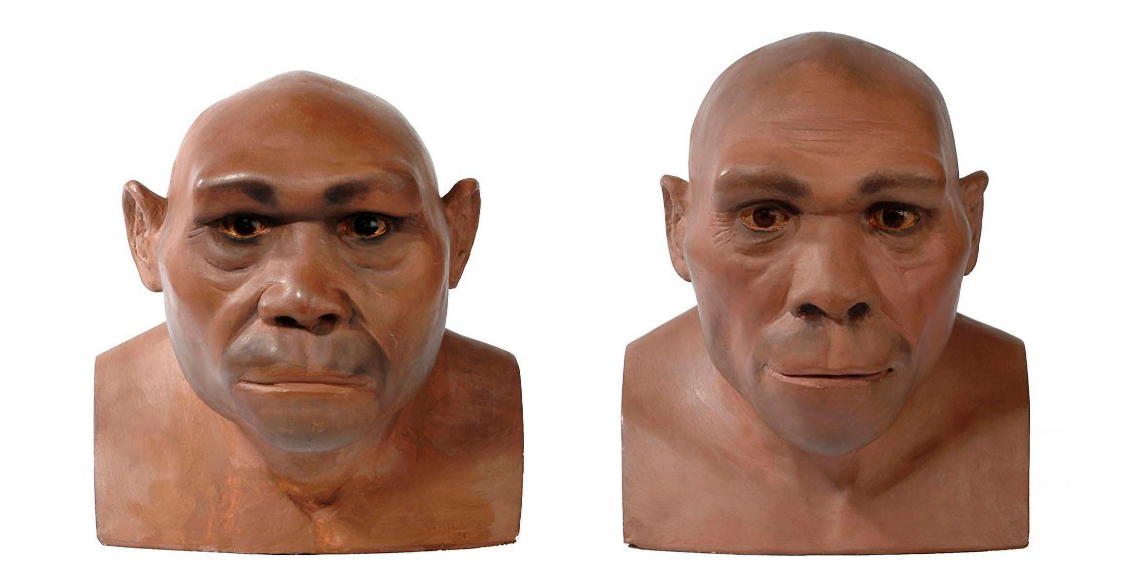 protein-reveals-the-oldest-episode-of-sex-and-procreation-among-human-species