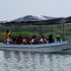 the-seven-trackers-who-traveled-to-mexico-to-search-for-dozens-of-missing-migrants