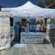 cartagena-celebrates-family-day-with-community-activities-and-family-support-initiatives