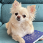 eu-pet-passports-are-no-longer-valid-for-entry-into-the-eu-by-a-non-eu-resident