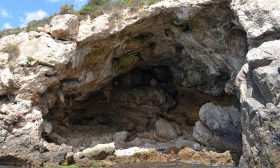 neanderthals-consumed-mollusks-as-early-as-115,000-years-ago,-especially-during-the-colder-months
