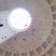 thousands-of-red-rose-petals-fall-from-rome-pantheon-dome