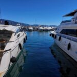 british-tourist-fall-in-puerto-banus-harbour
