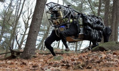 catastrophists-versus-accelerationists:-will-ai-destroy-the-world-or-save-it?