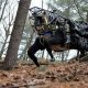 catastrophists-versus-accelerationists:-will-ai-destroy-the-world-or-save-it?