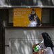 el-vaticano-sale-al-paso-de-la-polemica-con-las-victimas-de-pederastia-y-confirma-que-el-papa-se-reunira-con-ellas-en-espana