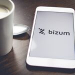 what-you-write-in-bizum-matters