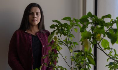 bruna-ferreira,-the-former-sister-in-law-of-the-white-house-press-secretary-detained-by-ice:-‘i-never-wanted-to-be-an-international-news-story’