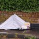 un-hombre-intenta-decapitar-a-otro-en-el-norte-de-belfast-antes-de-ser-detenido