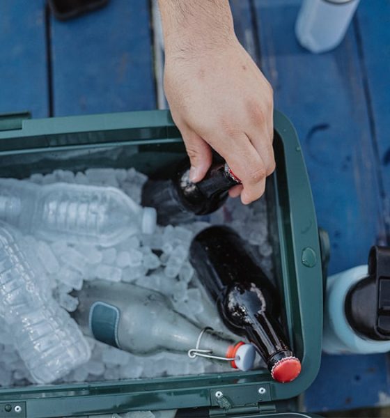 nevera-polarbox-de-12-o-20-litros:-diseno-iconico-y-maxima-eficacia-manteniendo-alimentos-y-bebidas-frescas